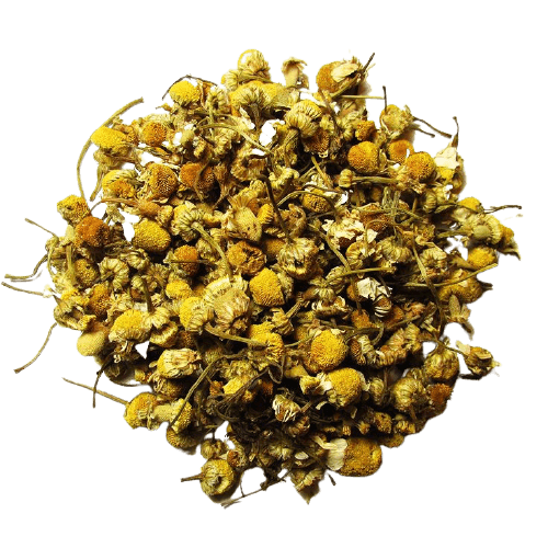 Chamomile