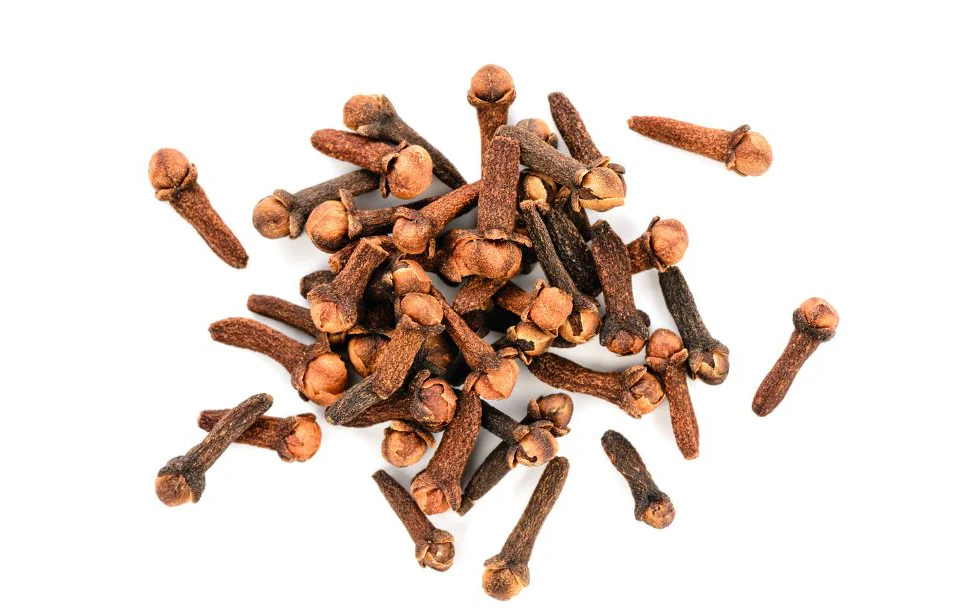 What are Cloves?