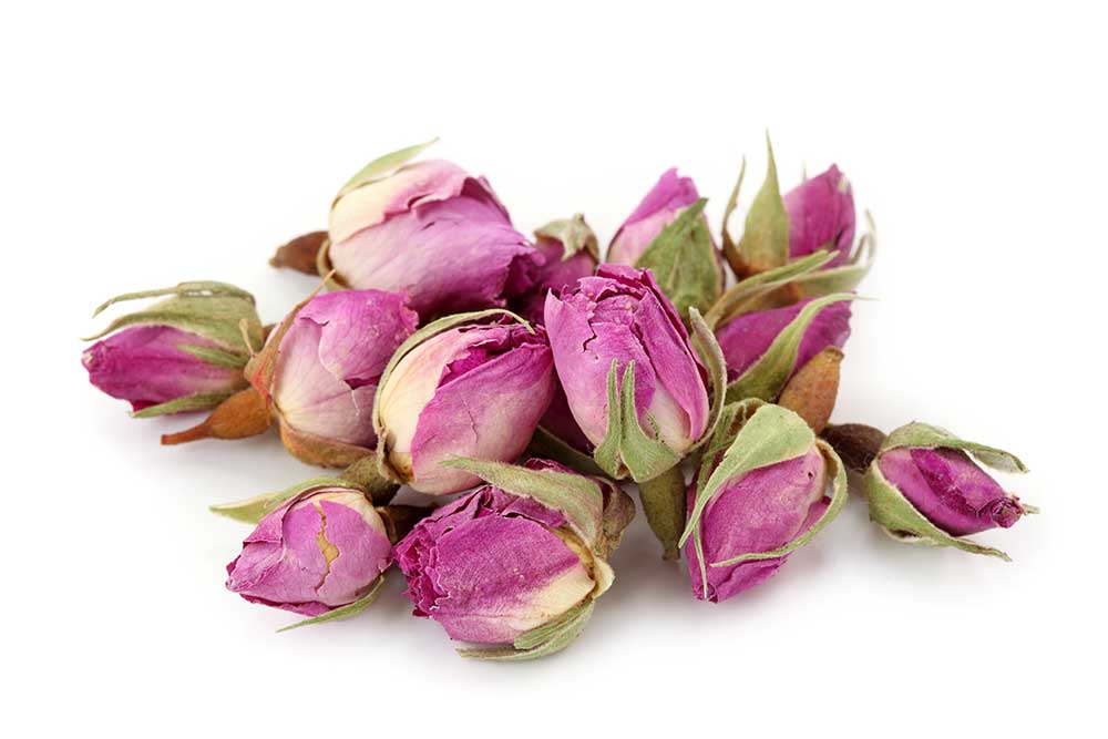 Rose Buds